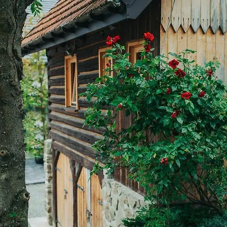 Jezowa Woda Osrodek Wypoczynkowy Palmiarnia I Spa Przyszowa  Exterior photo